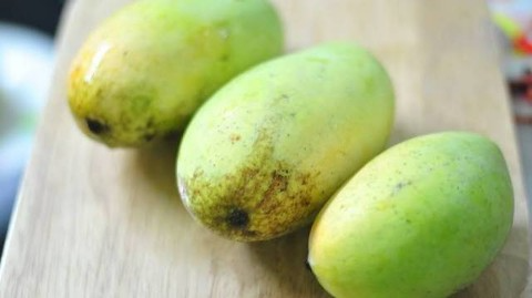 Mangga indramayu
