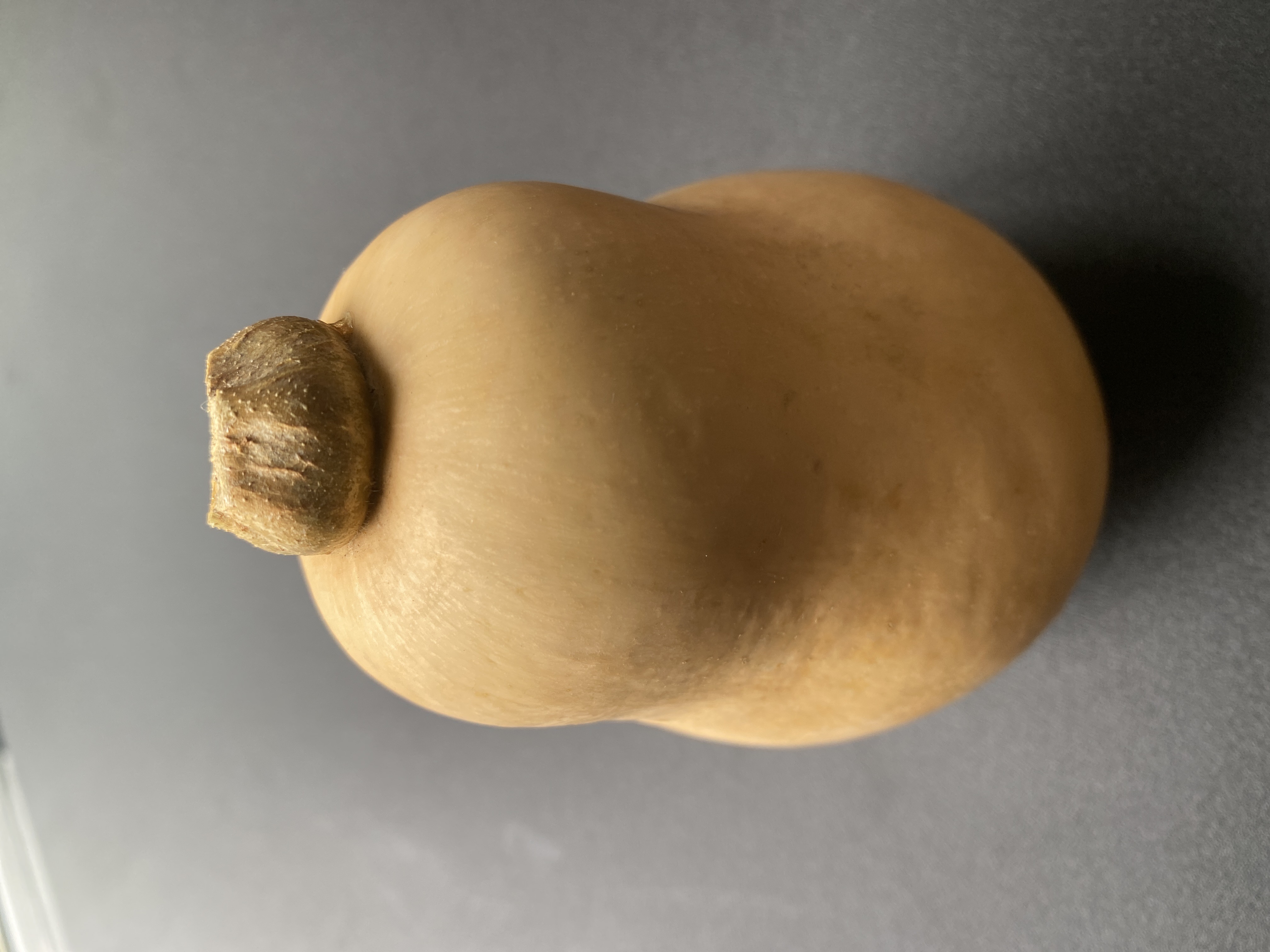 Nutty Squash Delight