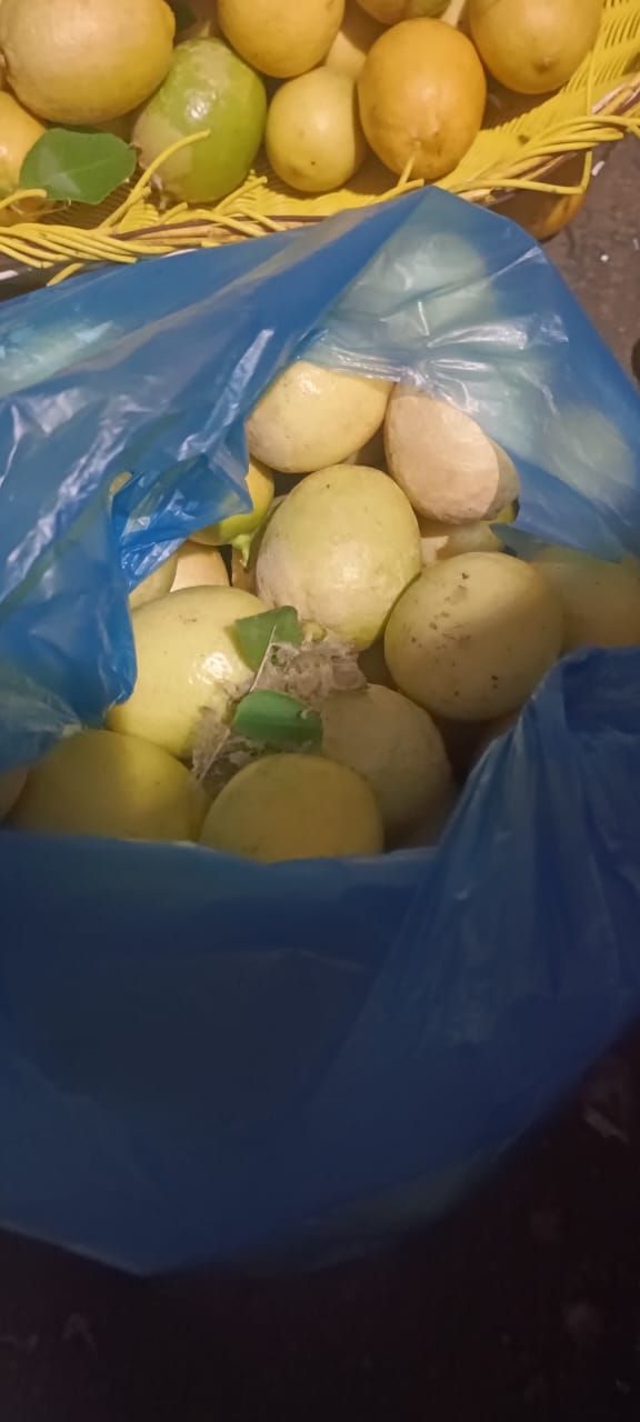 Lemon Segar Alami