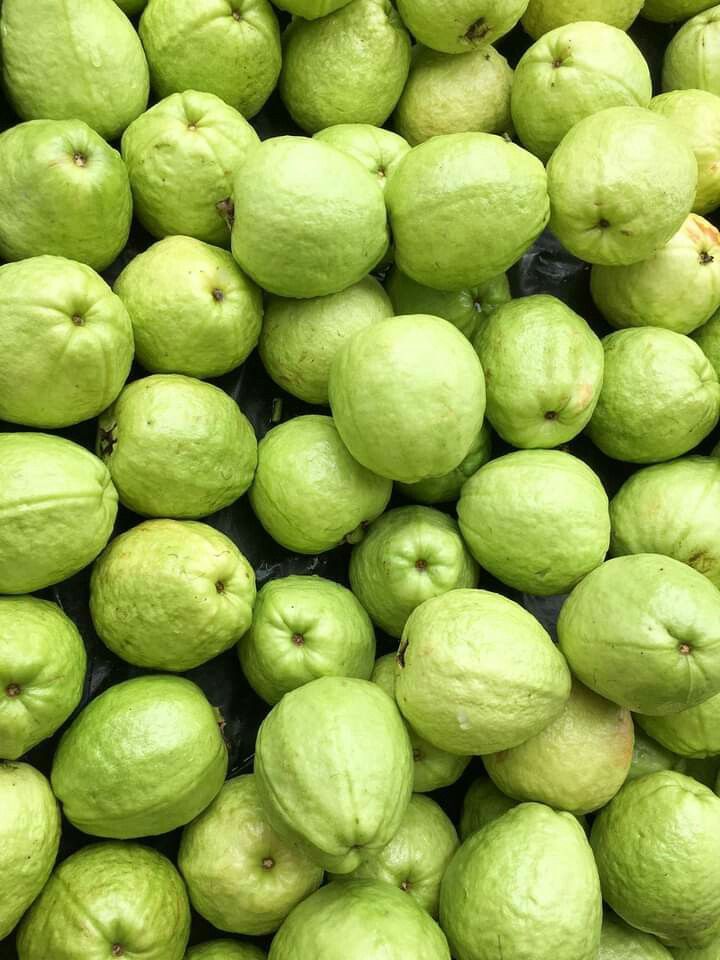 Jambu Kristal Segar