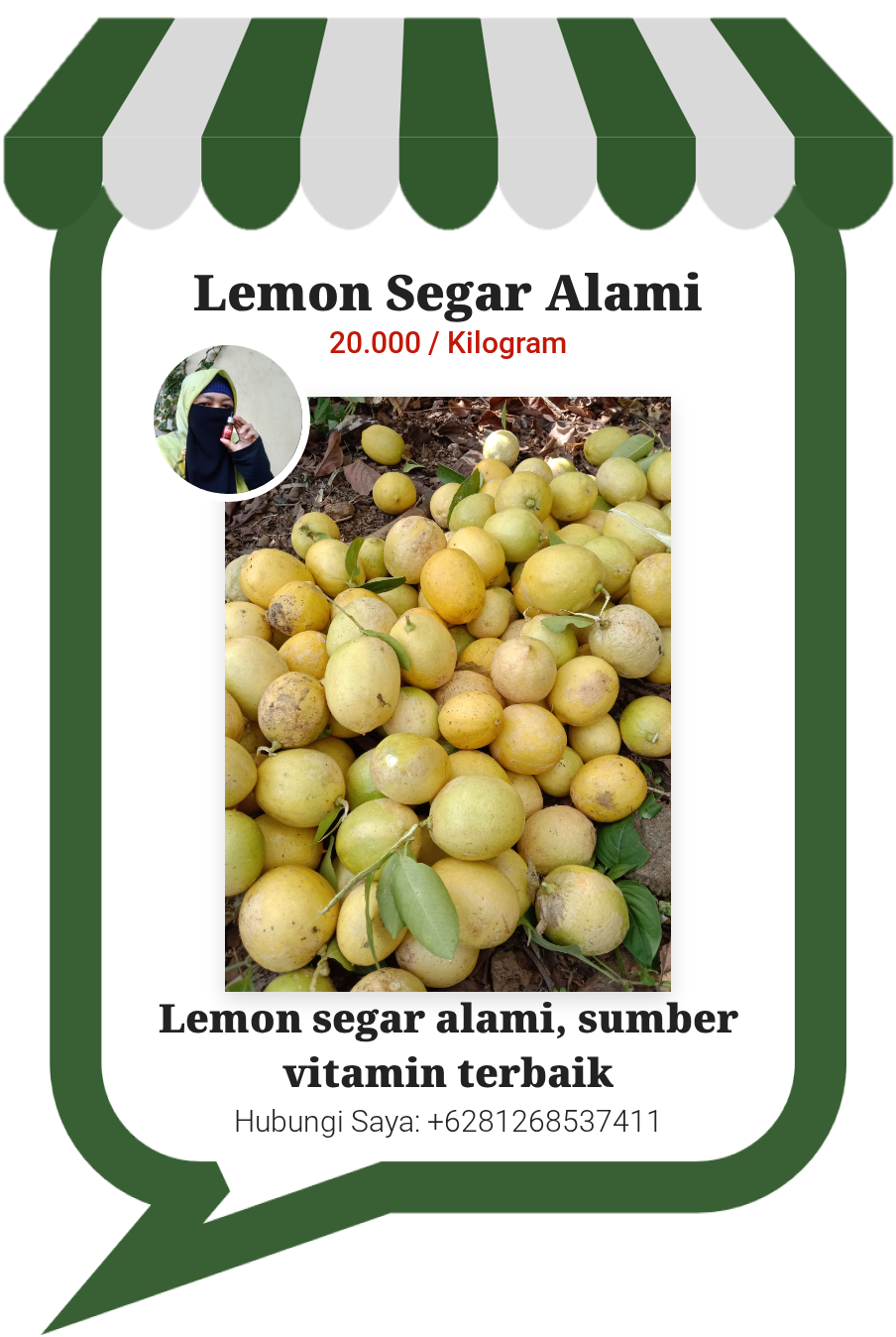 Lemon Segar Alami