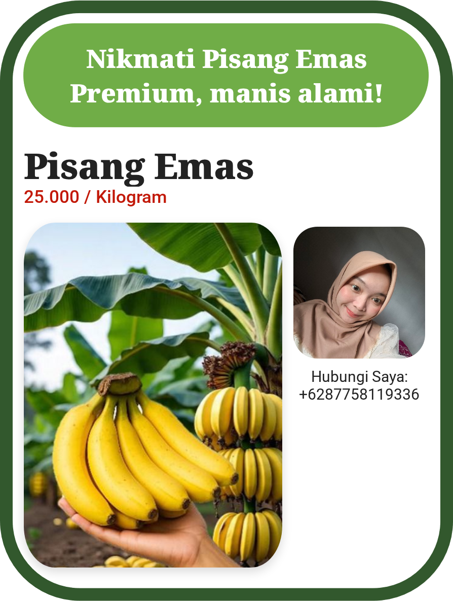 Pisang Emas Premium