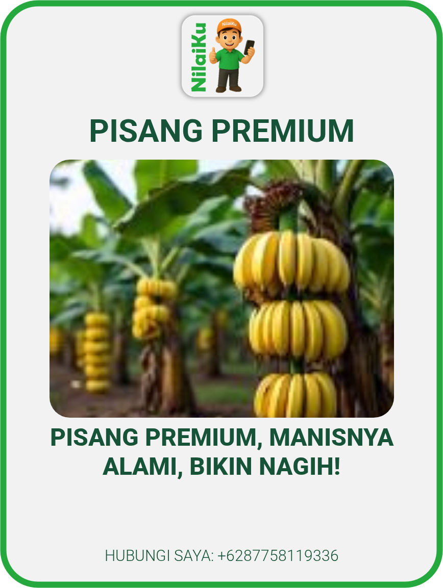 Premium Pisang Emas