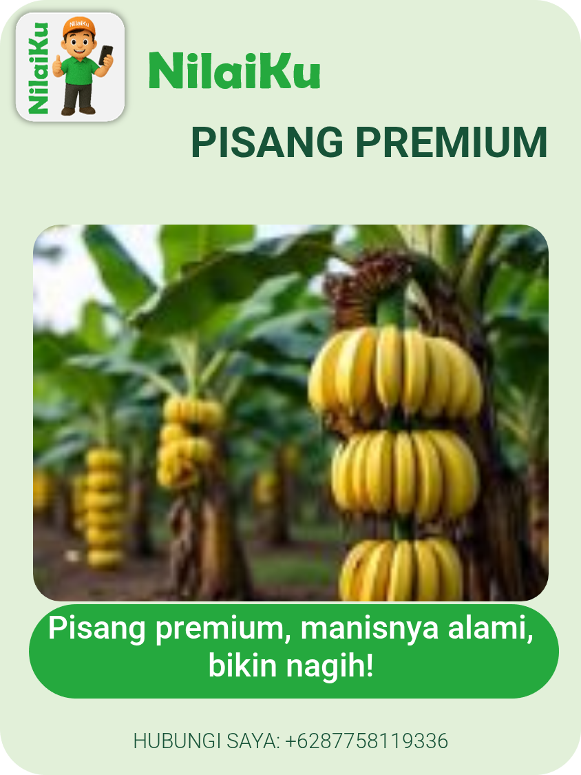 Premium Pisang Emas