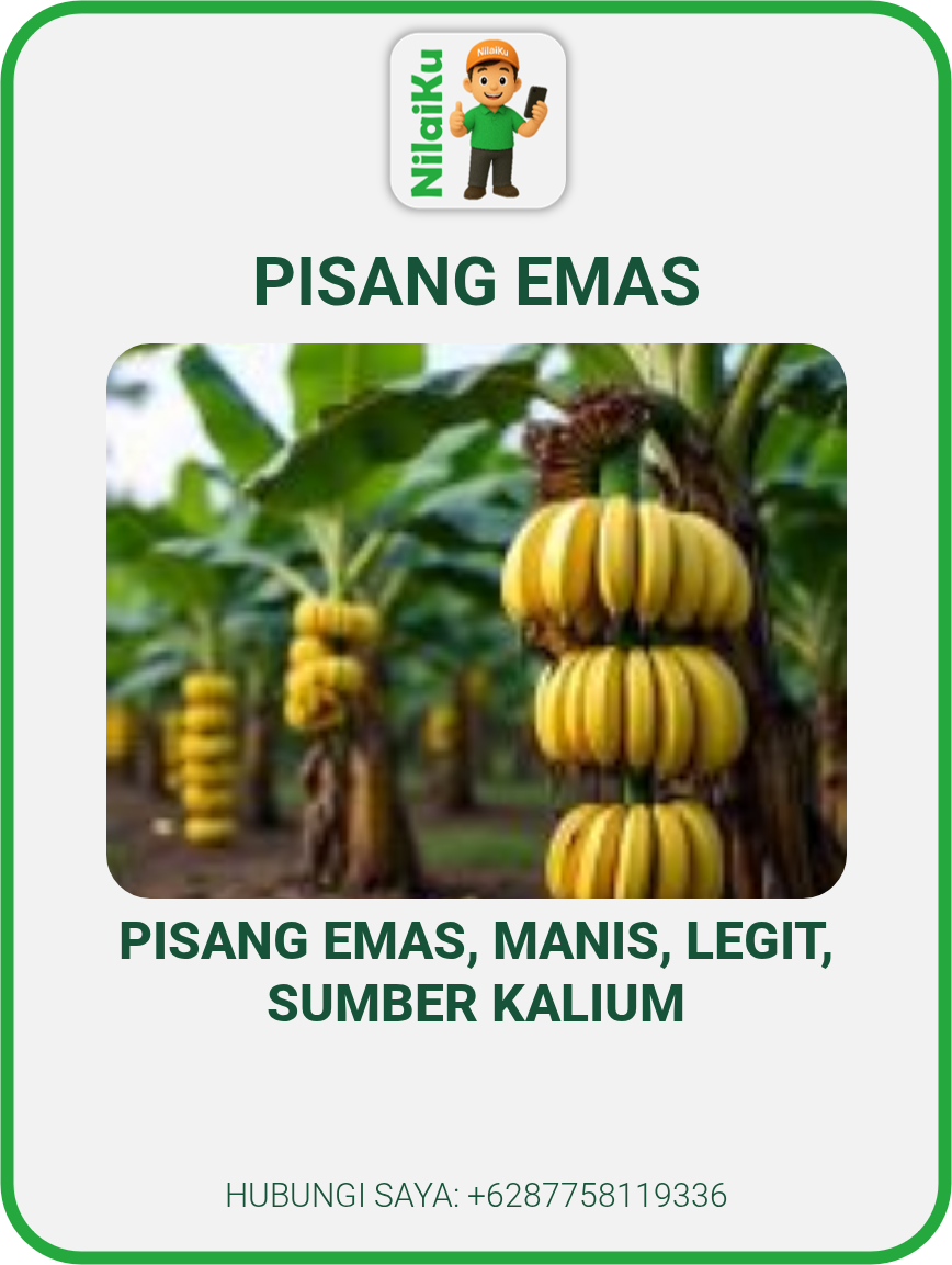 Pisang Emas