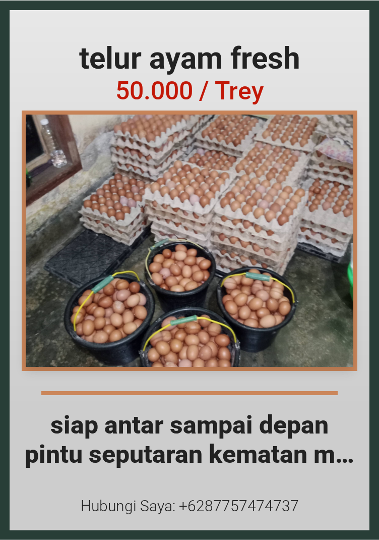 telur ayam fresh