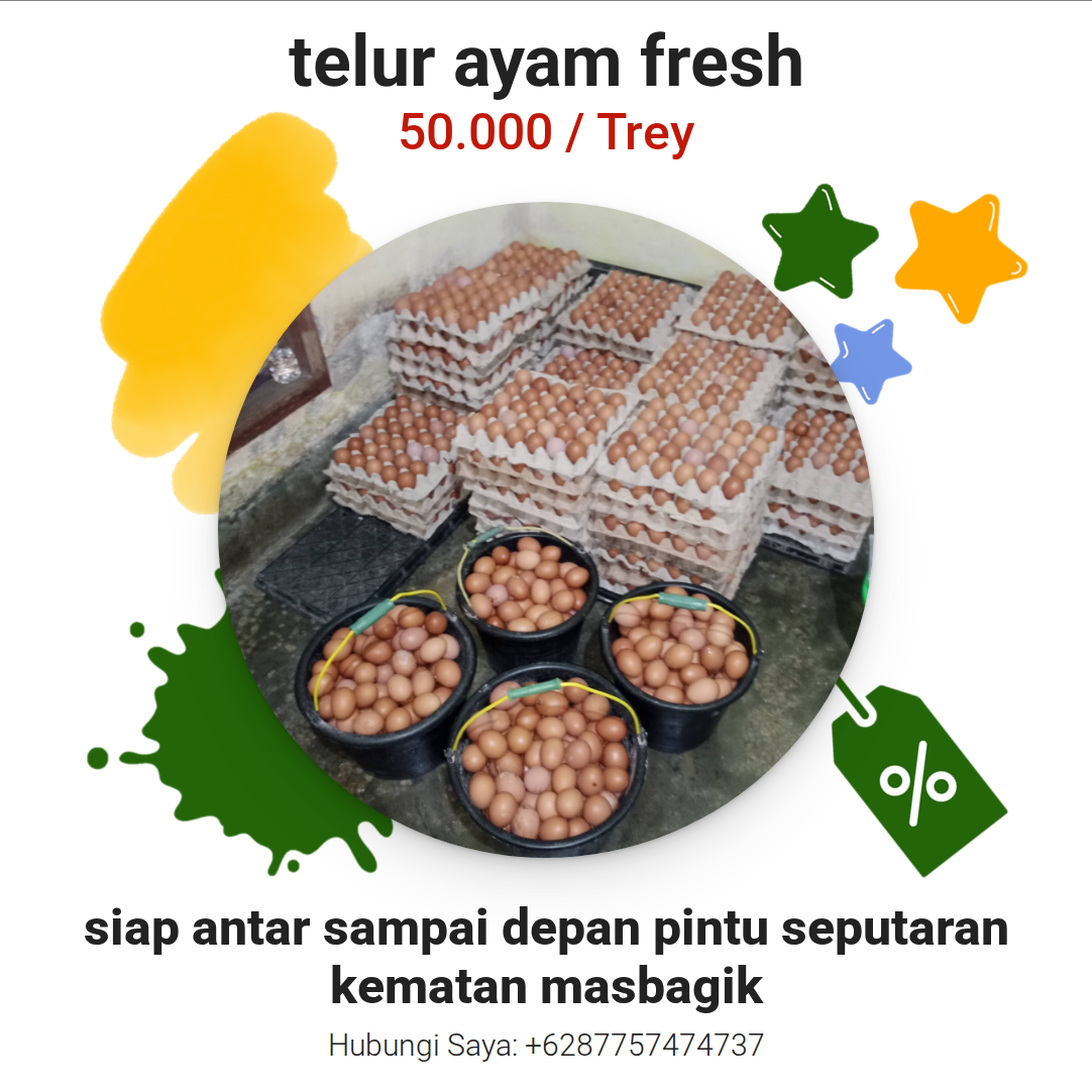 telur ayam fresh