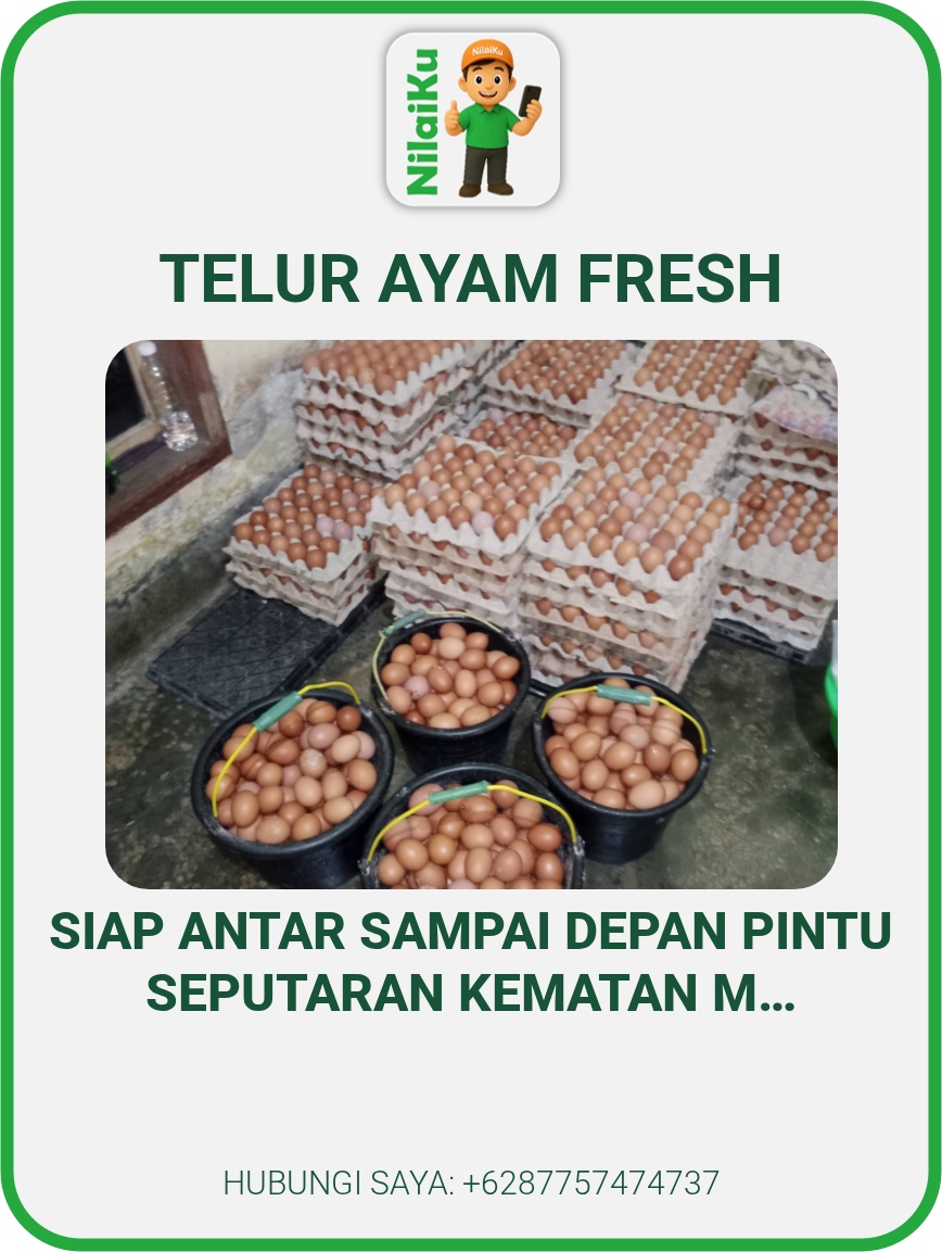 telur ayam fresh