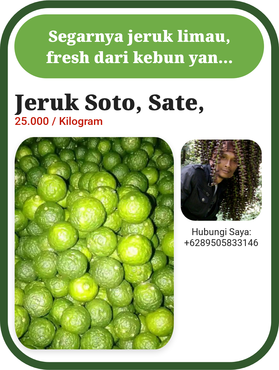 Jeruk Limau