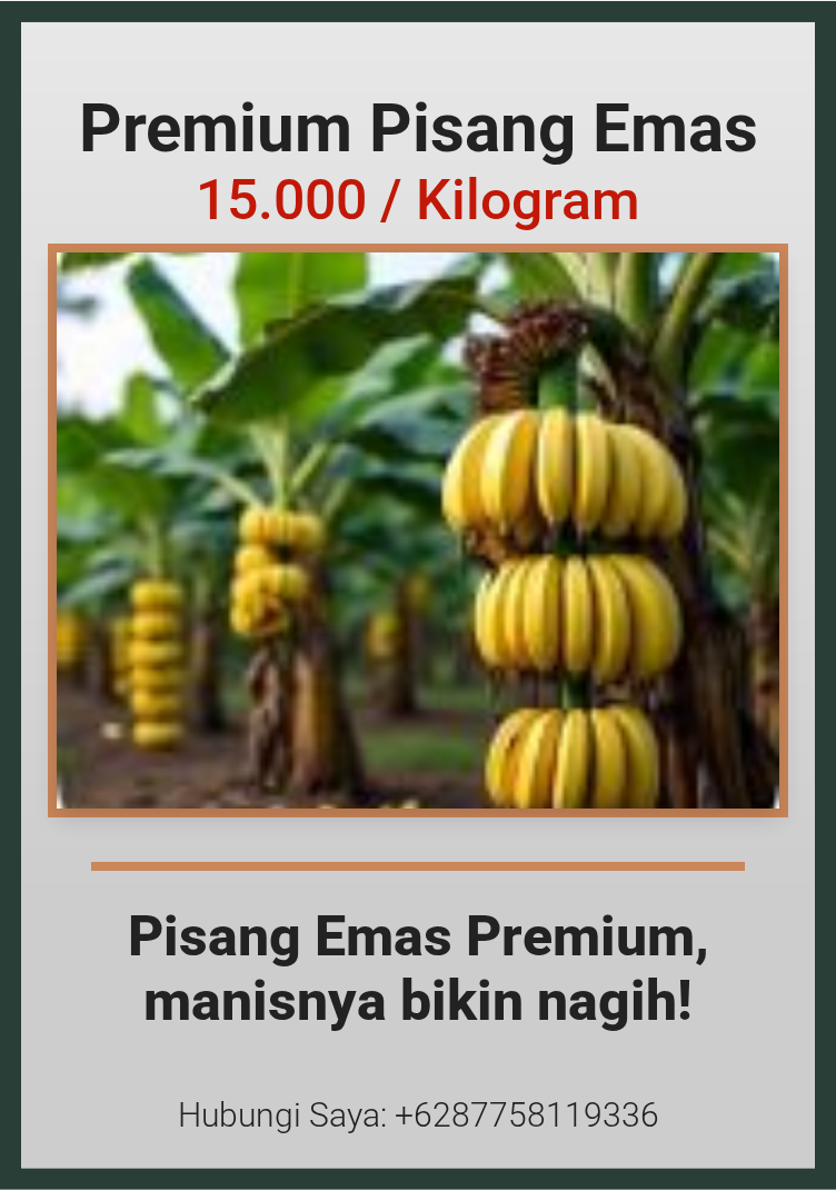 Premium Pisang Emas