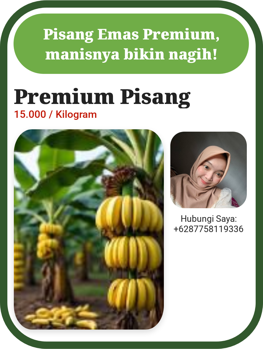 Premium Pisang Emas