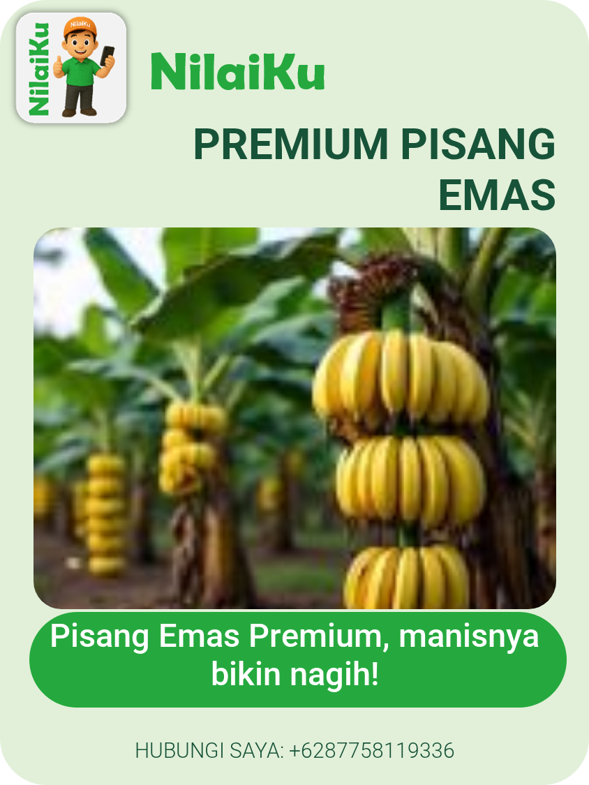 Premium Pisang Emas