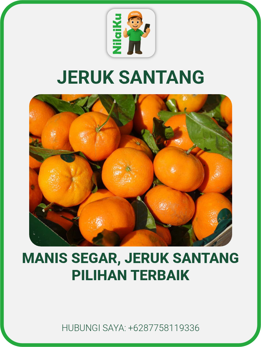 Jeruk Santang