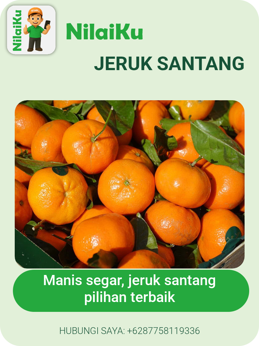 Jeruk Santang