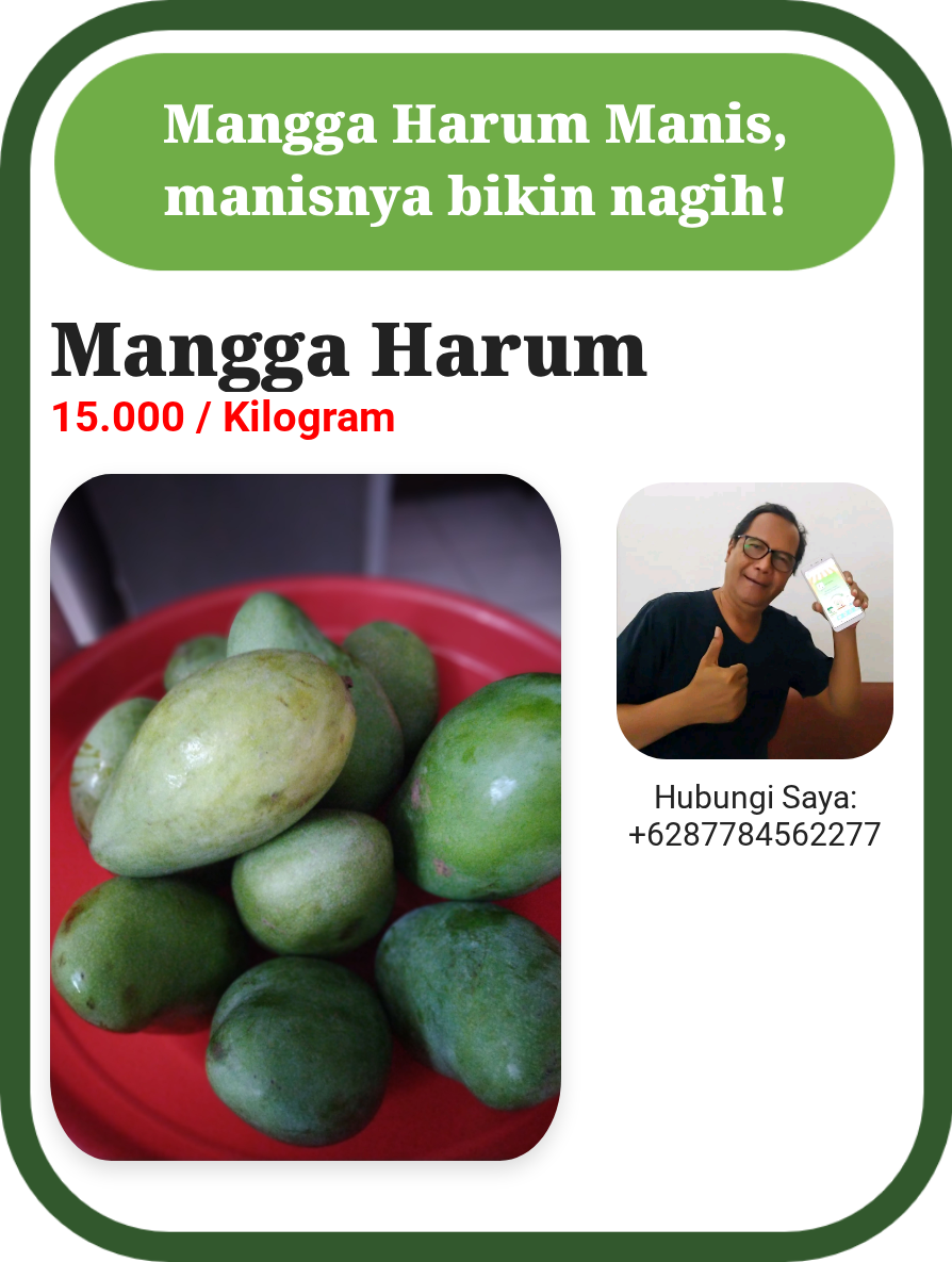 Mangga Harum Manis