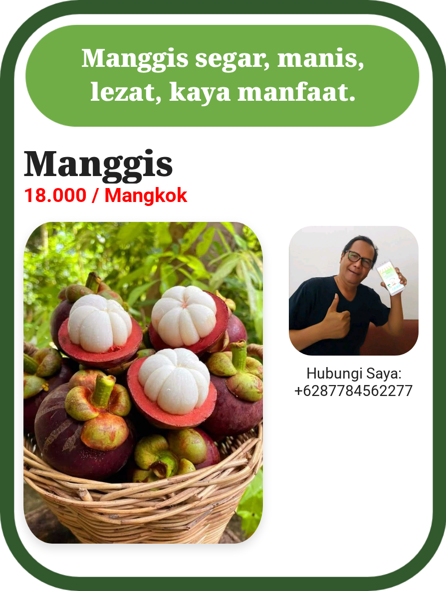 Manggis