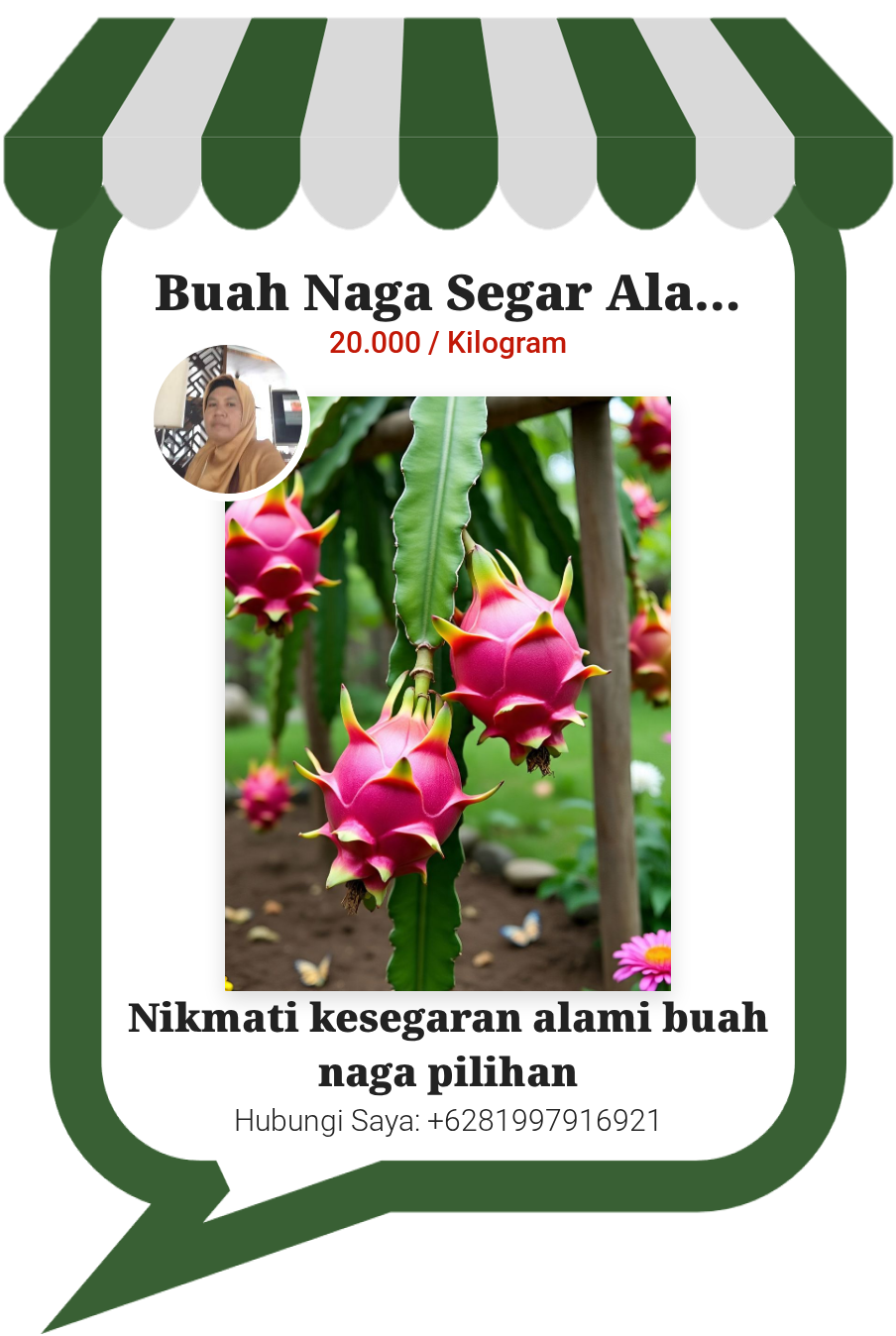 Buah Naga Segar Alami