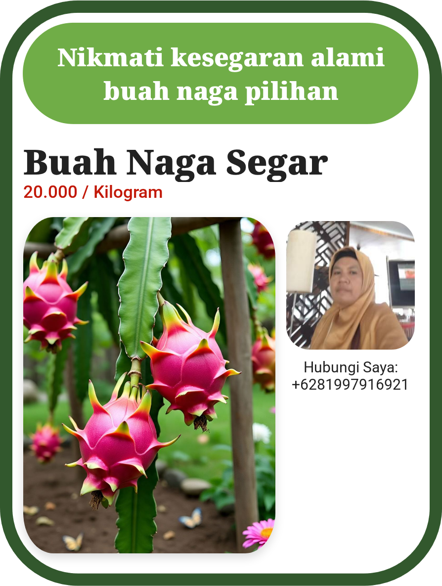 Buah Naga Segar Alami