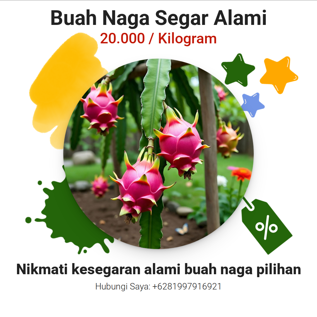 Buah Naga Segar Alami
