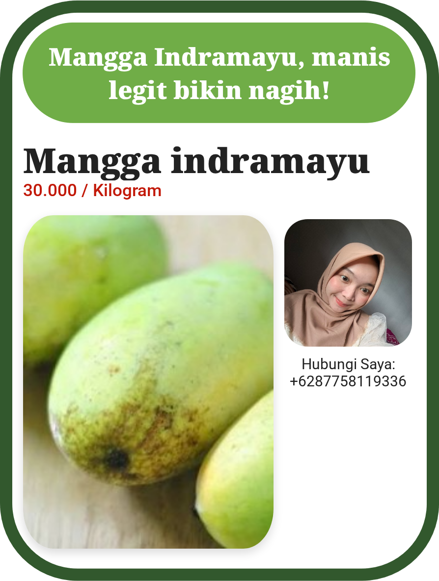 Mangga indramayu