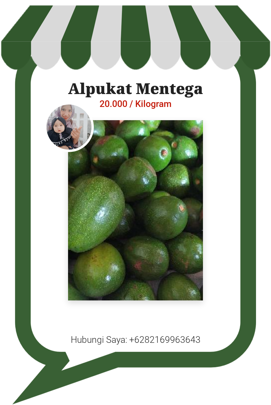 Alpukat Mentega