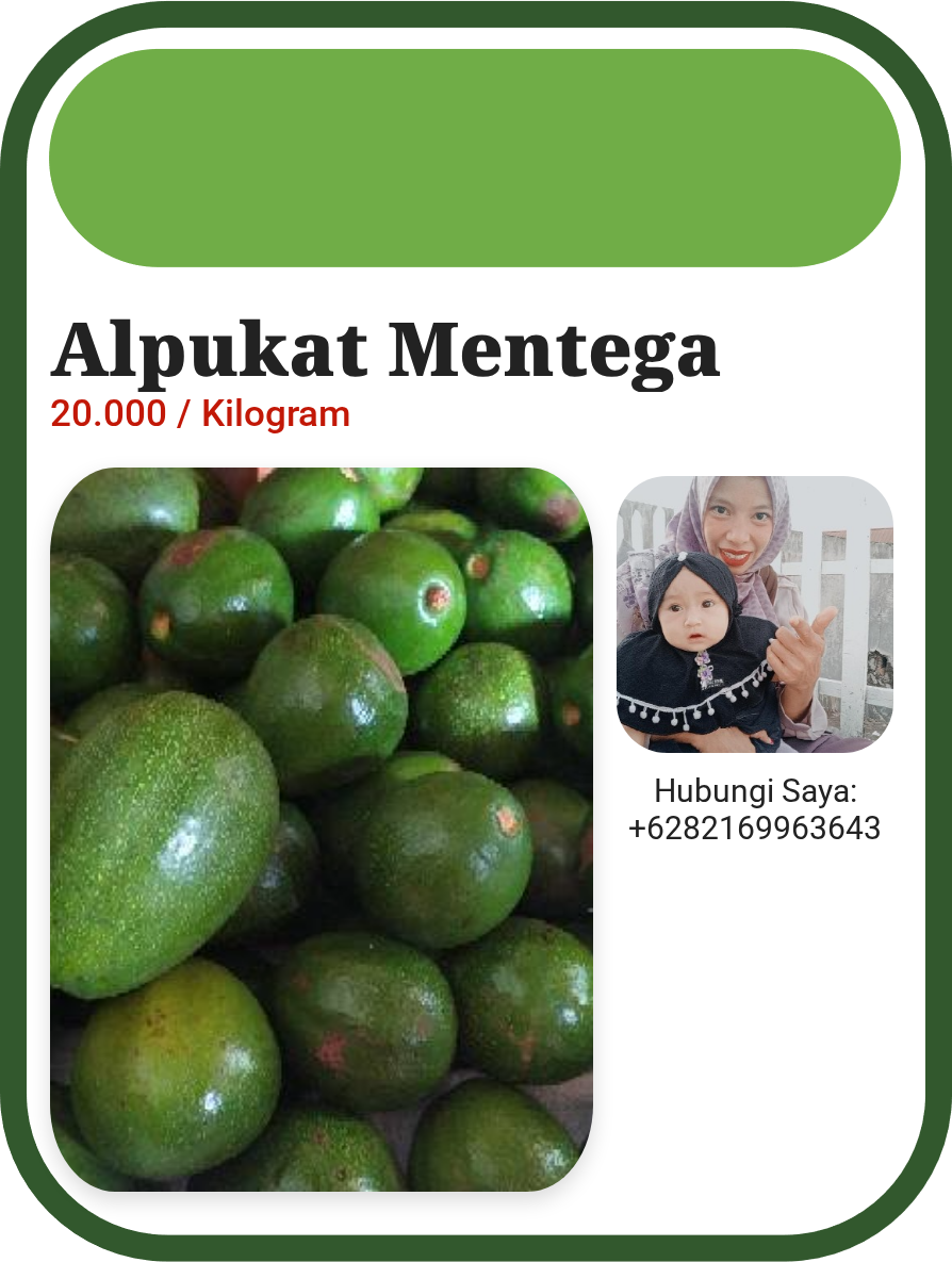 Alpukat Mentega