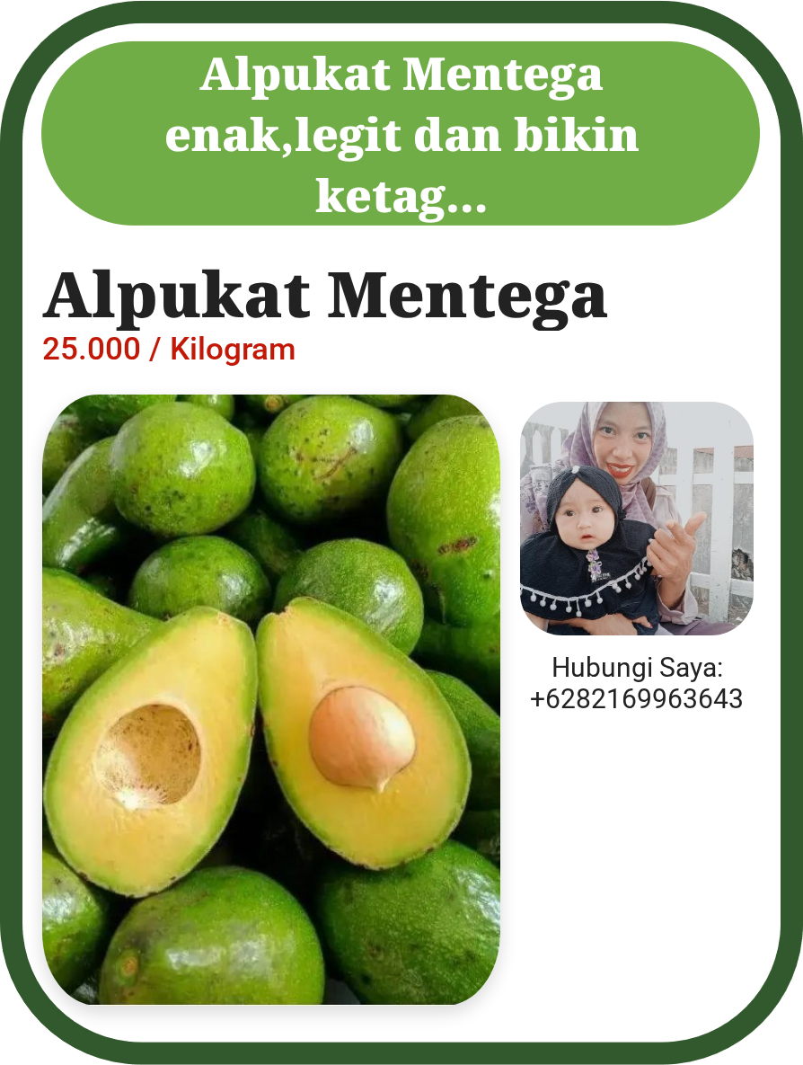 Alpukat Mentega