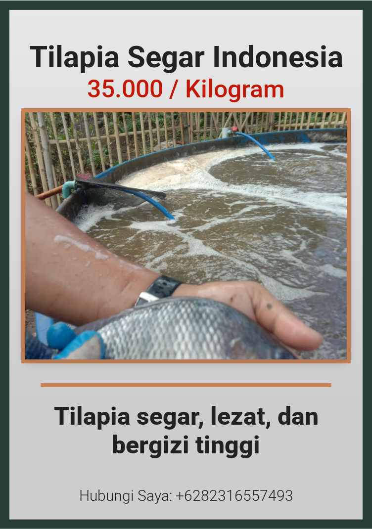 Promosi Tilapia Segar Indonesia