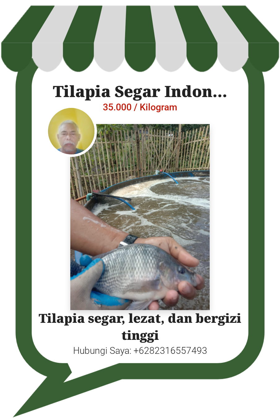 Promosi Tilapia Segar Indonesia