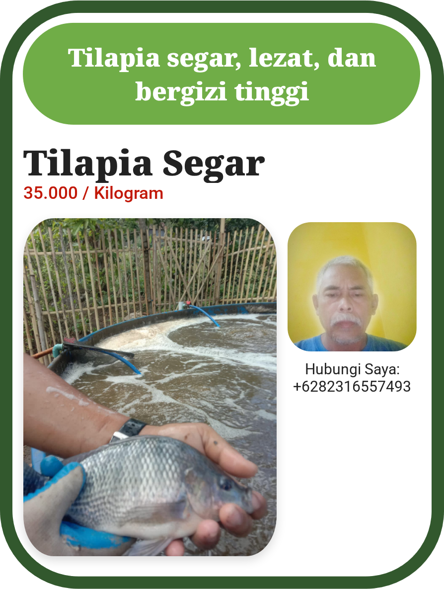 Promosi Tilapia Segar Indonesia
