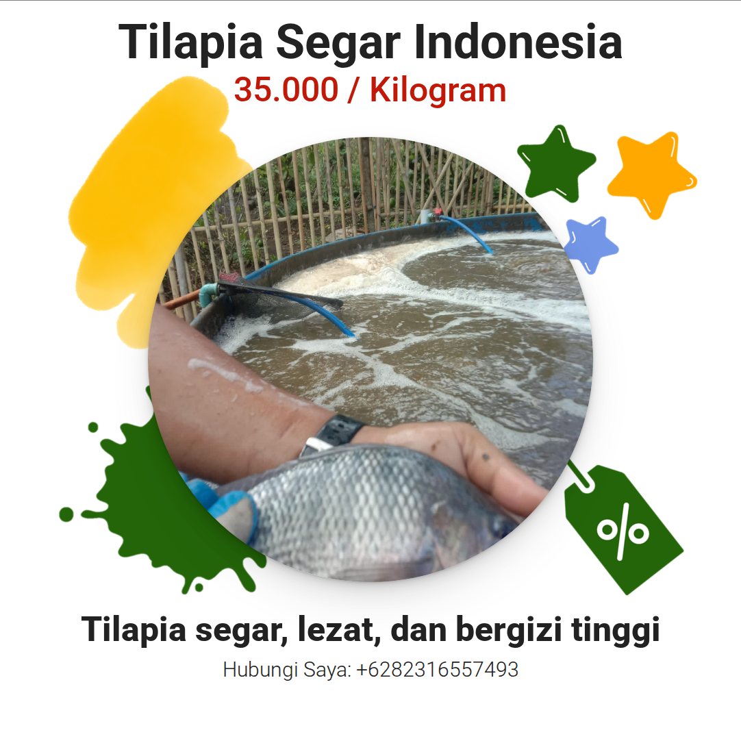Promosi Tilapia Segar Indonesia