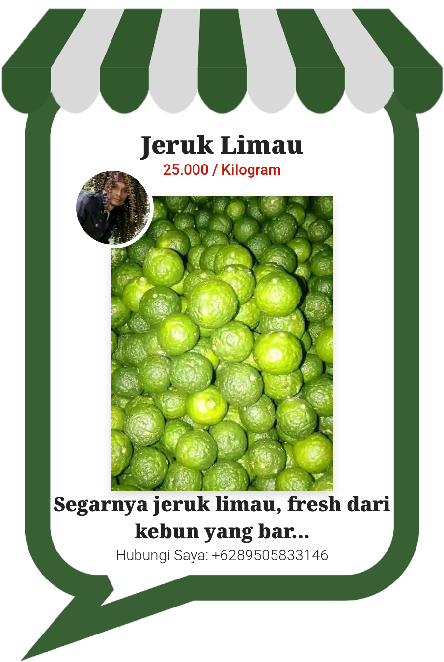 Jeruk Limau